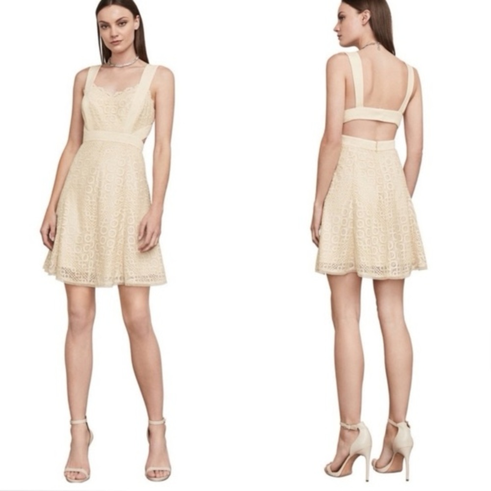 BCBG MaxAzria Metallic Lace Mini Cocktail Alena Dress Size 2 Cream Beige Silver - Picture 2 of 12